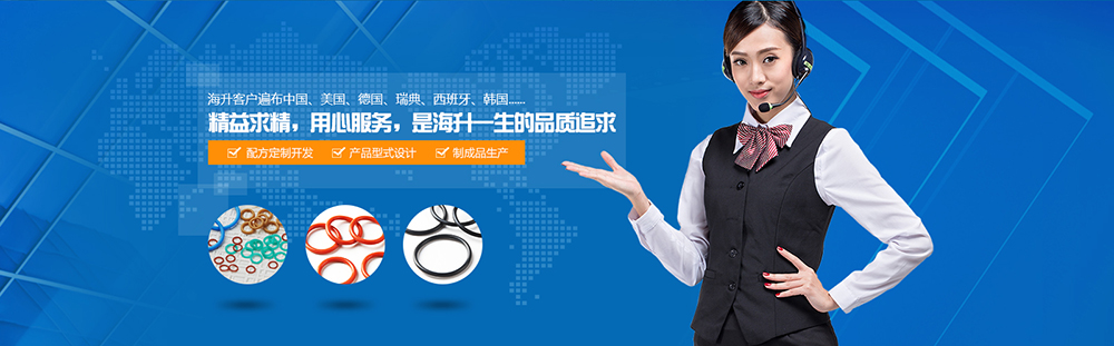 進口硅膠o型圈